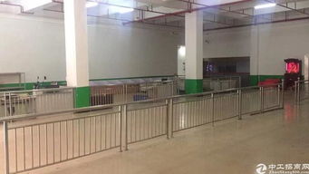 现成毛织厂房出租