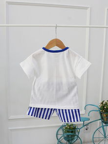 毛织专区 穿越时光的温暖艺术与时尚融合