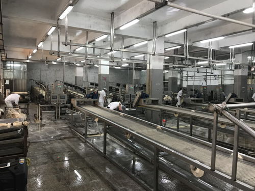 食品厂管道消毒的方法与注意事项